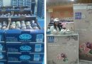 Djebba Feige Versand und Promotion