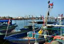 Fischerboote im Hafen von Sousse
