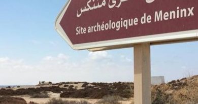 Archäologische Stätte Meninx, Djerba
