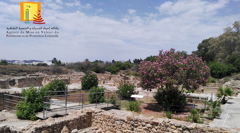 Ausgrabungsstätte Neapolis (Nabeul) - Fotos: Agentur zur Entwicklung des Kulturerbes und zur Förderung der Kultur (AMVPPC)