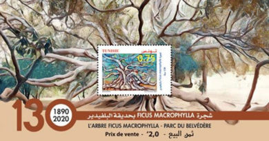 130 Jahre Ficus Macrophylla im Park Belvedere - Briefmarke