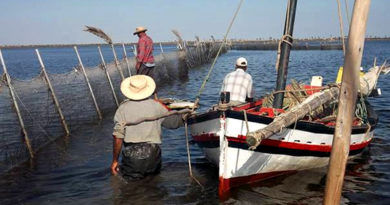 UNESCO: Couscous und das Charfiya-Fischen immaterielles Kulturerbe