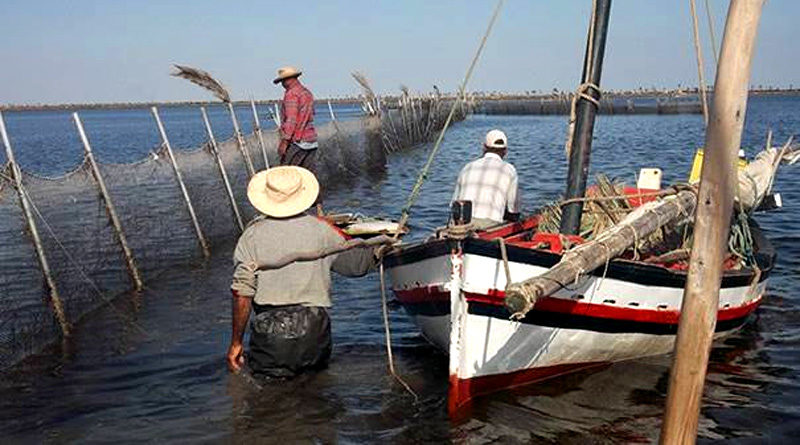 UNESCO: Couscous und das Charfiya-Fischen immaterielles Kulturerbe