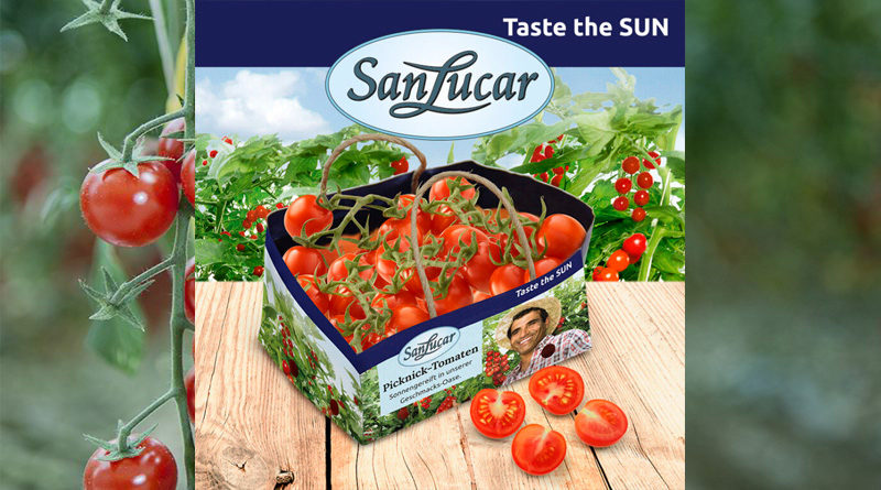 SanLucar setzt verstärkt auf umweltfreundliche Verpackungen und beginnt die tunesische Tomatensaison mit der neuen Tomaten-Naturtüte.